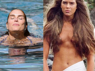 Brooke Shields Nude & Topless Pics And Sex Scenes Compilation