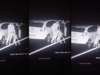 Horny Couple Fucking Doggy On A Public Road At Night