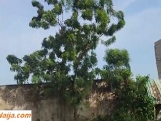 VIDEO: She seduced her compound neighbor and fucked him