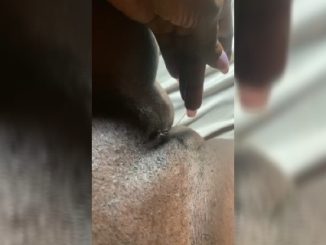 My Bestie Sent Me Video Of Her Punani