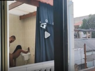 Staircase Secrets of the Mansion: My Madam and Her Husband